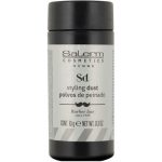 SALERM, Пудра фиксирующая для объема волос HOMME Volume Dust, 10 гр
