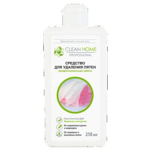 Средство для удаления пятен Clean Home Быстрое решение, 250мл
