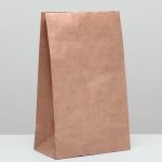Пакет крафт бумажный фасовочный, прямоугольное дно 24 х 14 х 40 см 70 г/м2 - 50 шт.